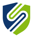 SSI IT Consulting logo