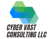 Cyber Vast Consulting, LLC. logo