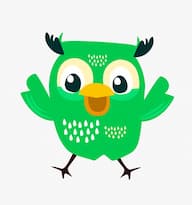 LoudOwls Solutions Private Limited