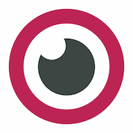 DotSee Web Services S.A. logo