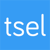 TuSitioEnLinea logo