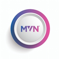 MVN Engineering Services logo