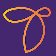 Beesoul LLC logo