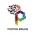 Photon Brains logo