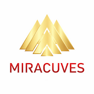 Miracuves Solutions Pvt. Ltd. logo