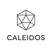 Caleidos logo