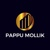 PAPPU MOLLIK logo