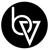Brand Vision logo