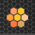 Egis Software