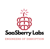 SaaSberry Innovation Laboratories Ltd. logo