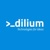dilium srl logo