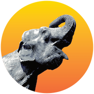 Radiant Elephant logo