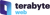 TeraByte Web logo
