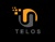 TeloSolution logo