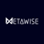 Metawise Private Limited,CEO logo