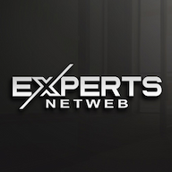 Experts Netweb logo