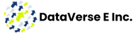 dataverseeinc logo