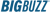 Big Buzz logo