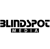 Blindspot Media-Digital Marketing Agency logo