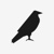 TheRaven logo