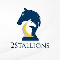 2Stallions Malaysia - Digital Marketing Company