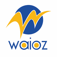 Waioz Consultancy Services