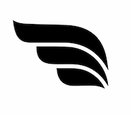 Flying Age logo