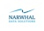 Narwhal Data Solutions logo