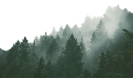 Digital Empr logo
