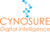 Cynosure DI logo