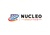 Nucleo Analytics Pvt Ltd logo