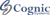 Cognic Systems
