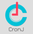 CronJ IT Technologies logo