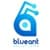 Blueant Solutions