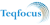 Teqfocus Consulting LLC logo