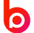 Bpointer logo