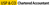USP & Co logo