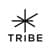 Tribe Communication Srl