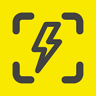 The New Standard logo