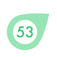 Degree 53 logo