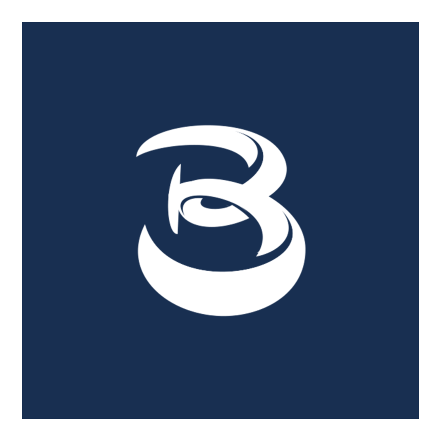 Blupord Agency logo
