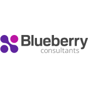 Blueberry Consultants Limited logo
