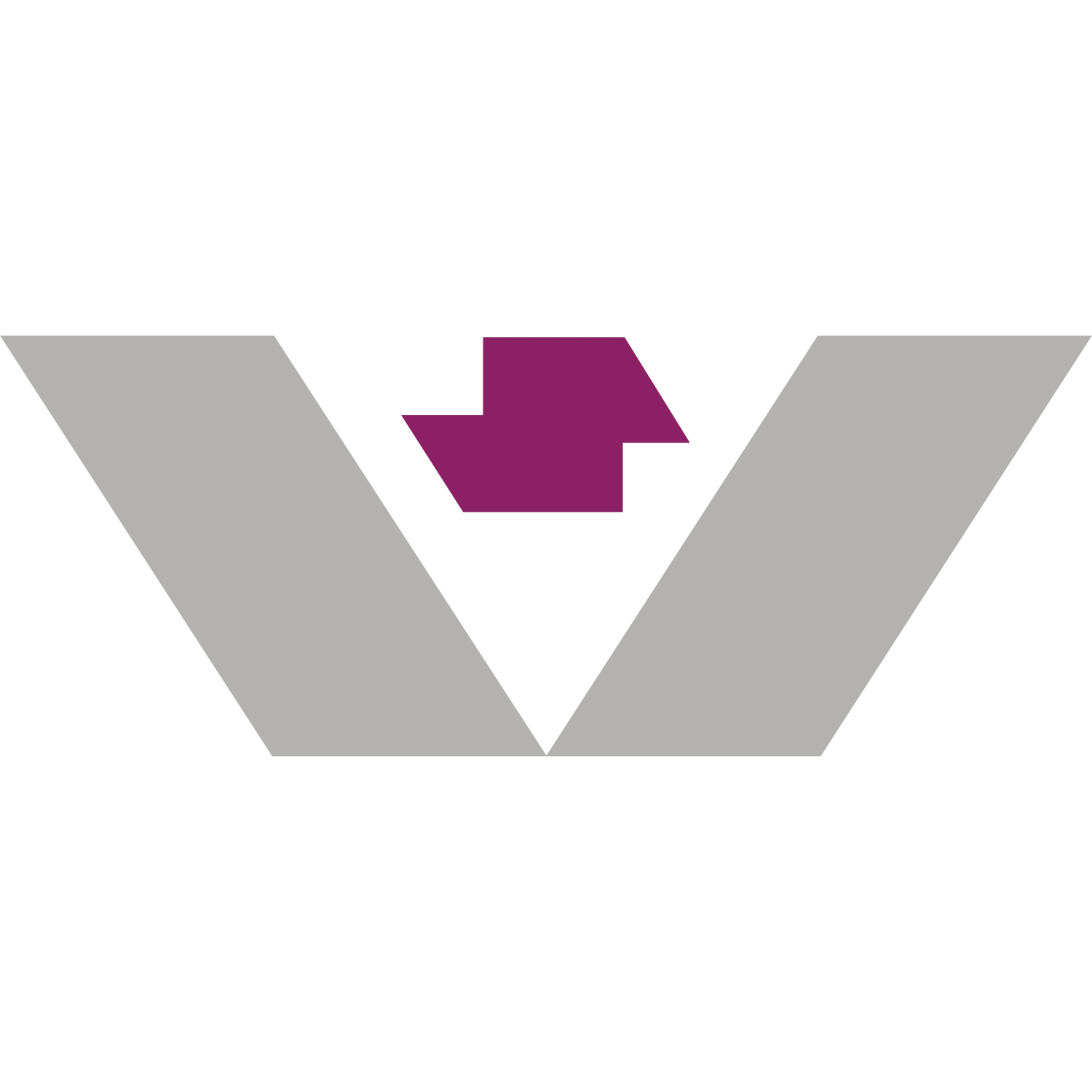 VS Online Services logo