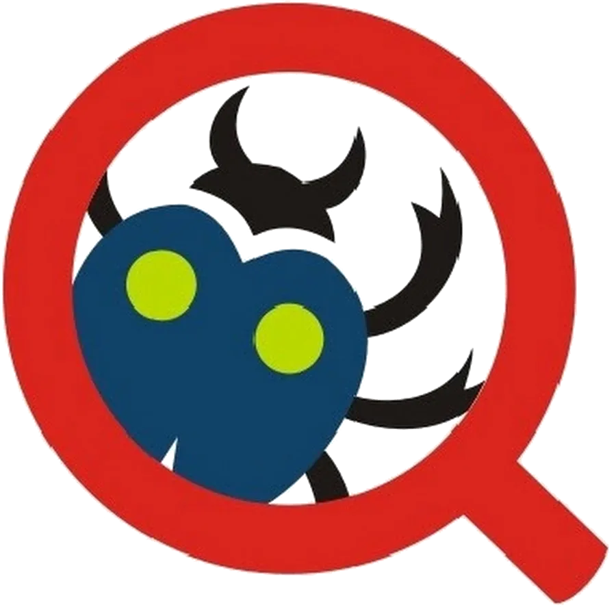 QA Mentor logo